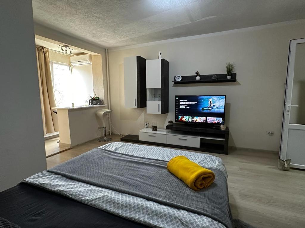 Reeas Apartament ทิมิชัวรา ภายนอก รูปภาพ