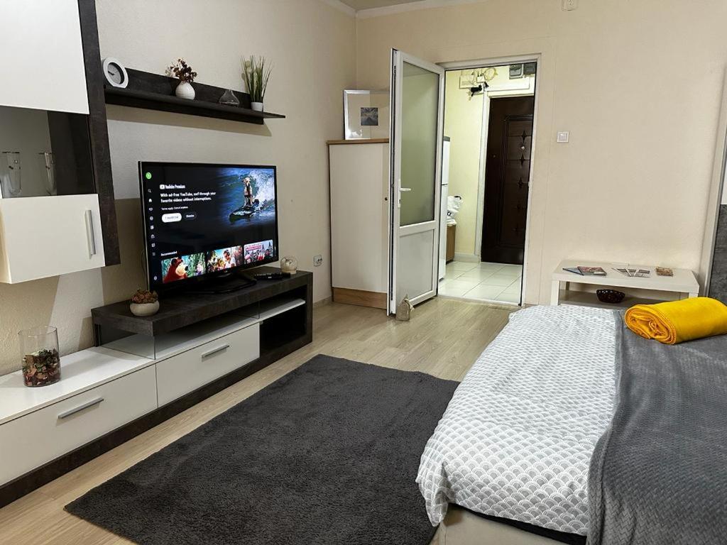 Reeas Apartament ทิมิชัวรา ภายนอก รูปภาพ
