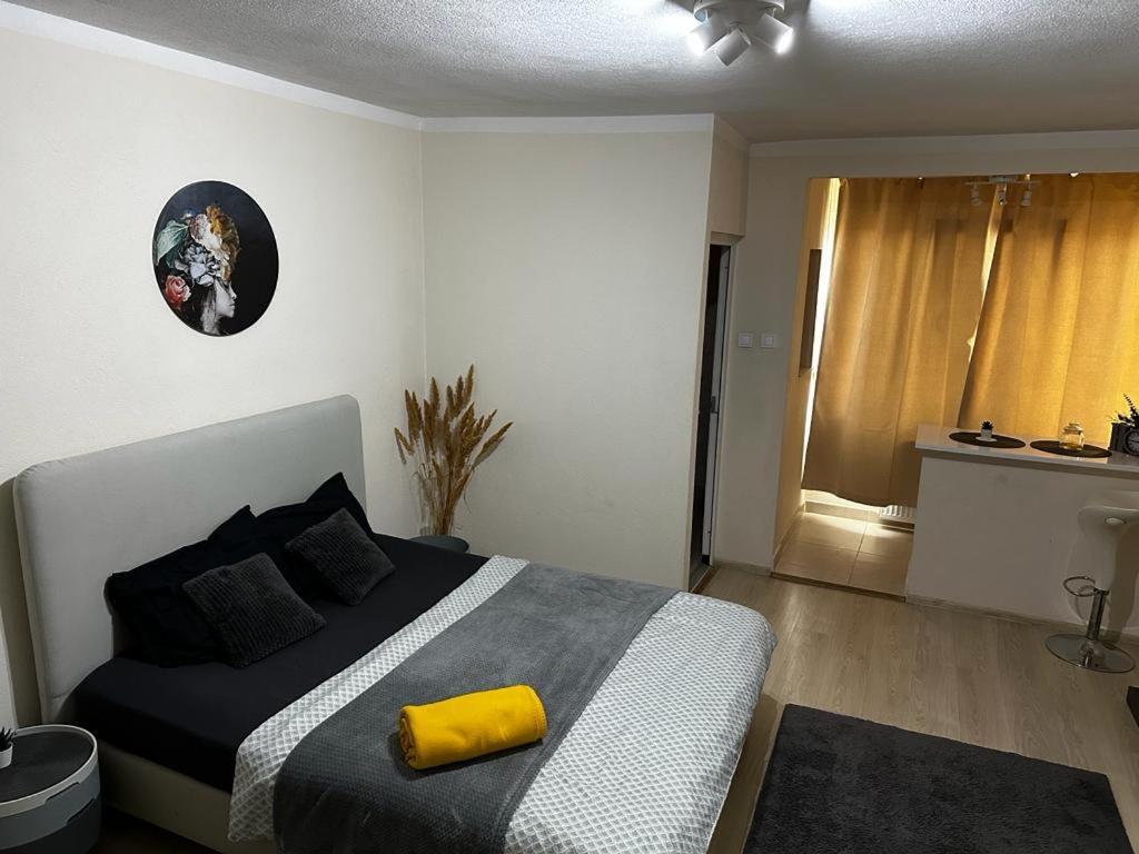 Reeas Apartament ทิมิชัวรา ภายนอก รูปภาพ
