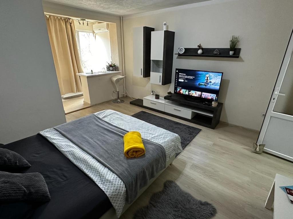 Reeas Apartament ทิมิชัวรา ภายนอก รูปภาพ