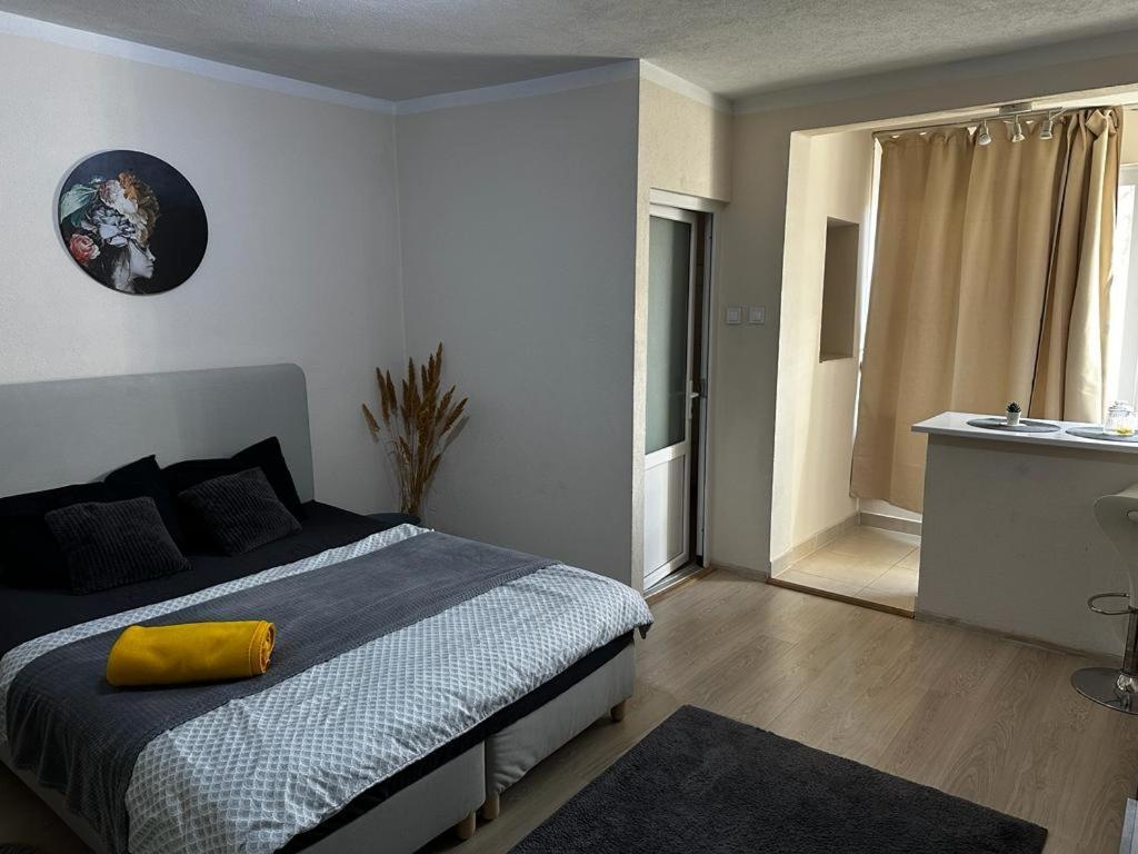 Reeas Apartament ทิมิชัวรา ภายนอก รูปภาพ