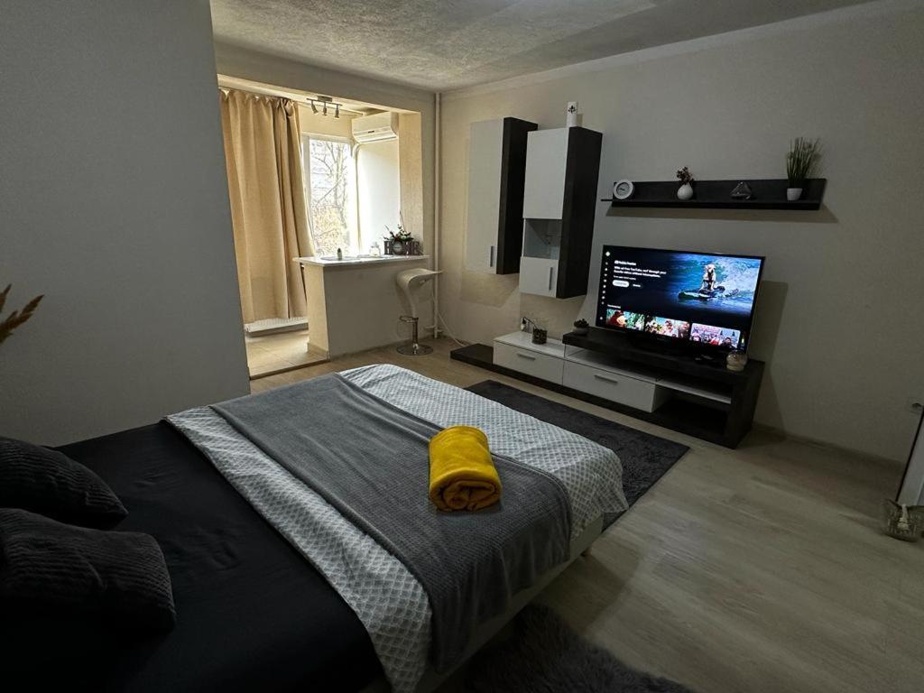 Reeas Apartament ทิมิชัวรา ภายนอก รูปภาพ